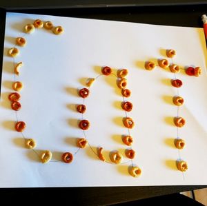 Meet your Posher, Cat